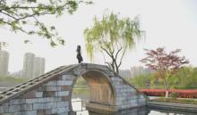 青枫公园6