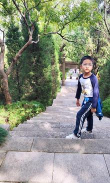 虞山公园12