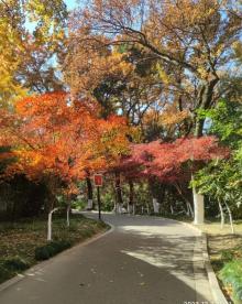 虞山公园7