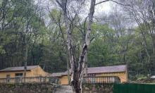虞山公园1
