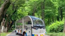 南通狼山国家森林公园2