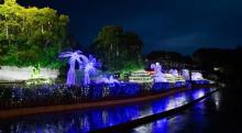 天目湖夜公园8