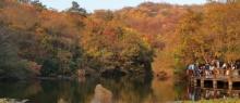 龙兴岛8