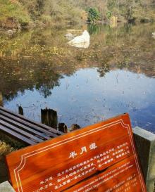 龙兴岛12