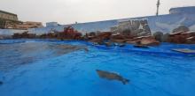 海兽探秘馆4