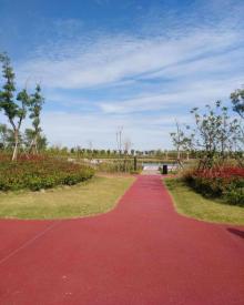 春花秋色城市公园4