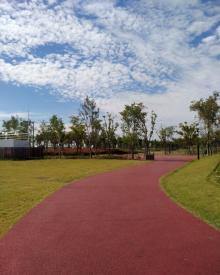 春花秋色城市公园2