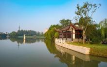 荷花池公园4