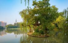 荷花池公园3
