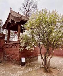 镇国寺5