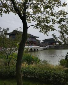 镇国寺20