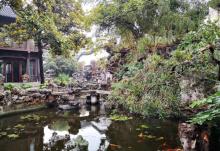 小盘谷6