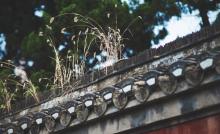 清晏园11