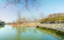 古淮河文化生态景区2
