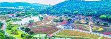 龙寺生态园1