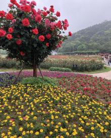 龙寺生态园13