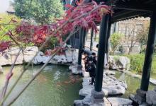 沈坤状元府13
