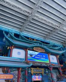 淮安龙宫大白鲸4