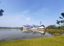 丹顶鹤湿地生态旅游区13