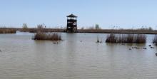丹顶鹤湿地生态旅游区17