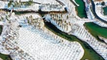 泗洪洪泽湖湿地13