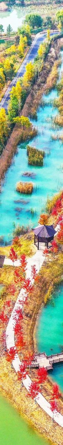 泗洪洪泽湖湿地7