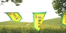 安徽郎溪大佛山养心谷20