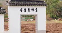 潭东村1
