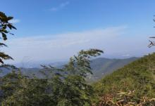 黄塔顶1