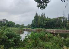 月亮湾度假中心5