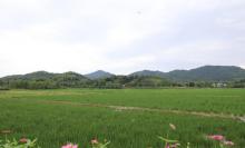 蓝城・悠然南山7