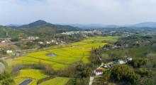 蓝城・悠然南山4