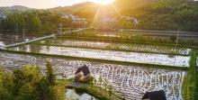 蓝城・悠然南山5