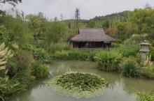 涧水禅音2