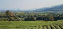 宜兴红岭茶洲山庄3