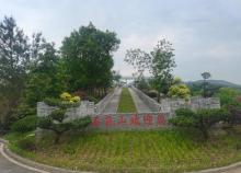 石龙山漂流1