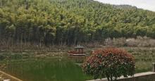 太华山省级森林公园3