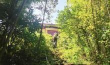 太华山省级森林公园1