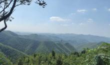 太华山省级森林公园2