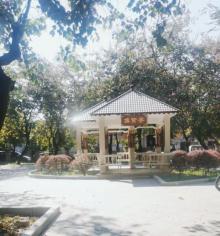 陈涌公园7