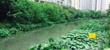 赤岗涌1