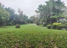 初溪休闲公园3