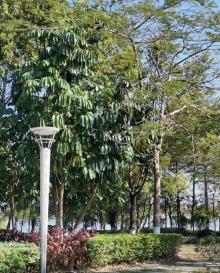 初溪休闲公园7