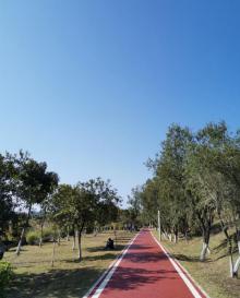 初溪休闲公园4
