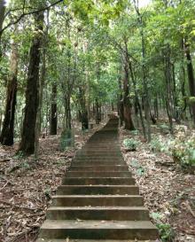 历奇山庄4