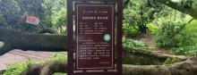 荔枝皇2