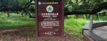 荔枝皇3