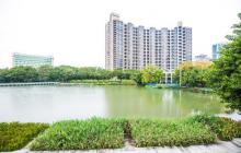 岐江公园5
