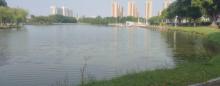 东湖公园1
