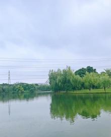东湖公园8